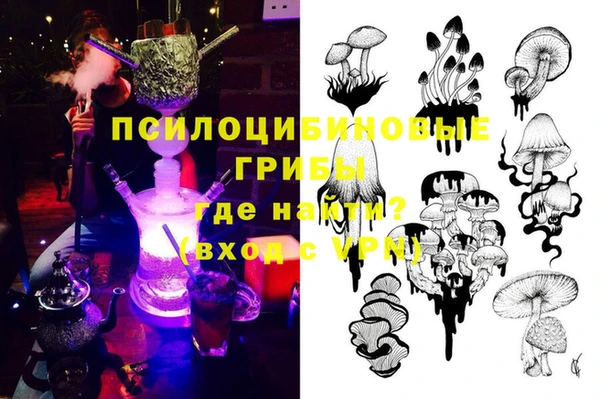 прущий лед Богородицк