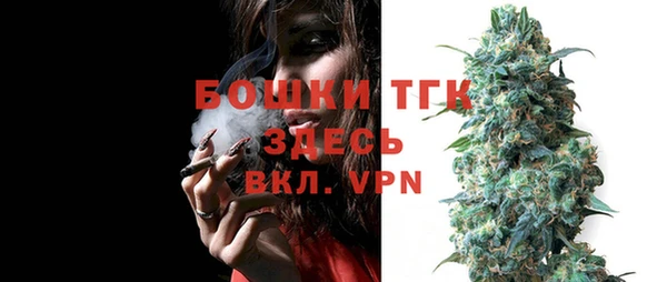 прущий лед Богородицк