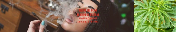 прущий лед Богородицк
