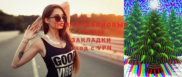 прущий лед Богородицк