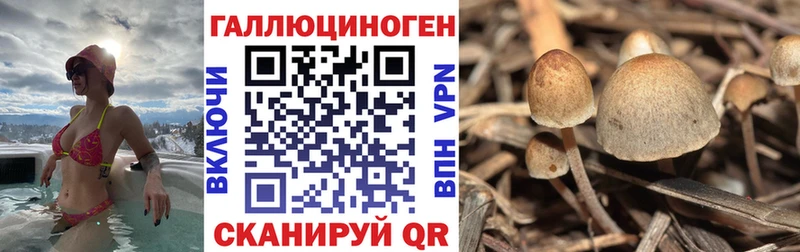 Псилоцибиновые грибы GOLDEN TEACHER Белореченск
