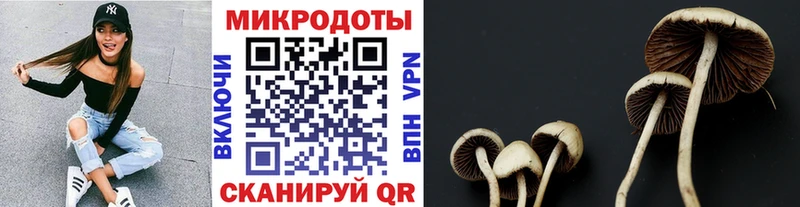 Галлюциногенные грибы прущие грибы  мега зеркало  Белореченск  дарнет шоп 
